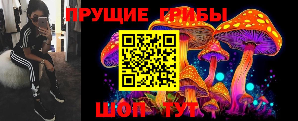 Томск  Псилоцибиновые грибы прущие грибы  Вход с VPN 